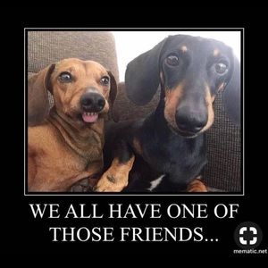 Meet your Posher, Niki